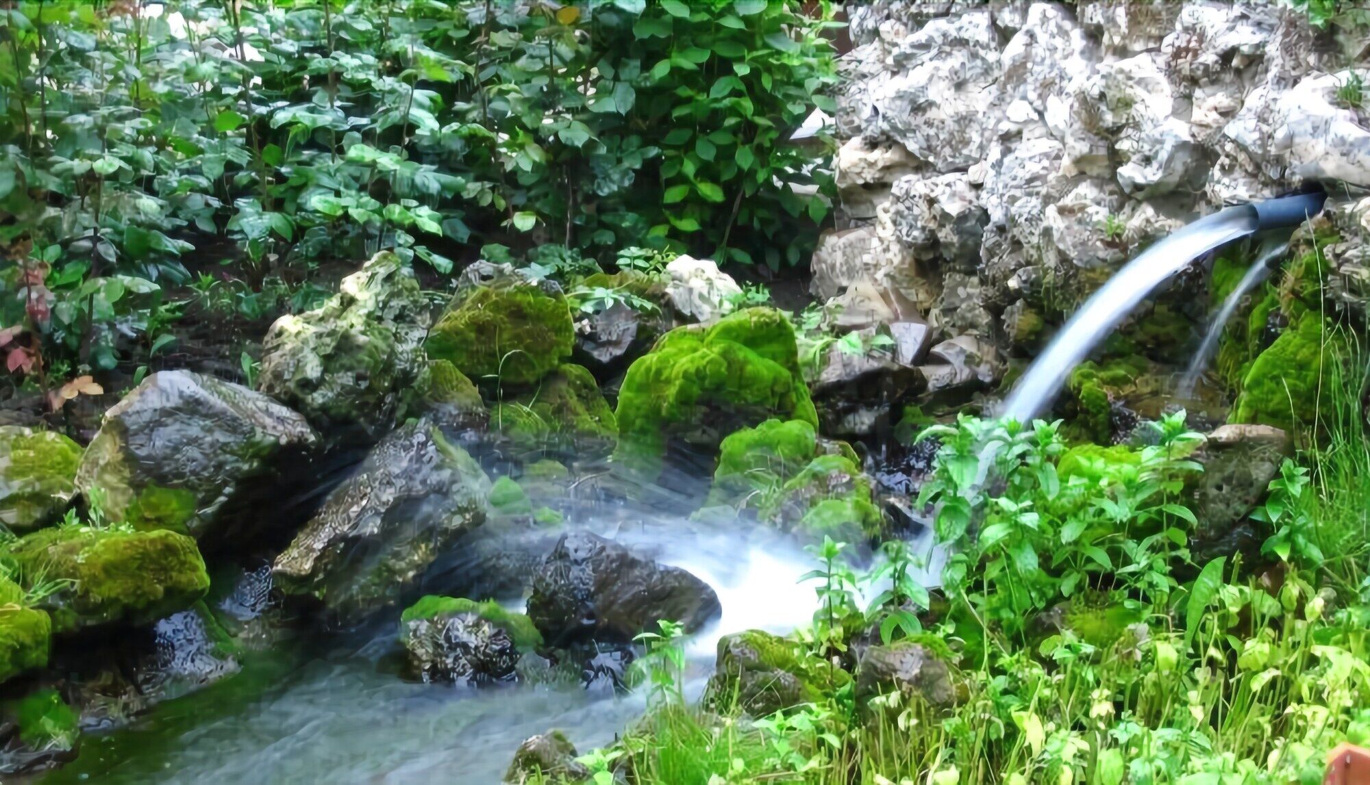 Hotel Izvora Kranevo Εξωτερικό φωτογραφία